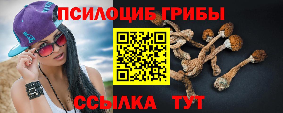 Псилоцибиновые грибы мухоморы  Галлюциногенные грибы мицелий  Куйбышев  Вход с VPN 